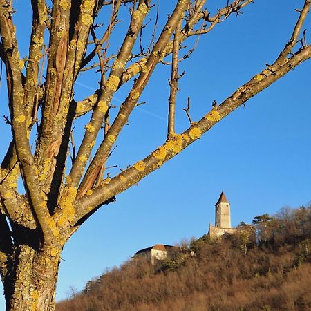 Burgblick Apartment- 60Qm, Kueche, Waschmaschine, Streamingdienste Seebenstein Eksteriør bilde