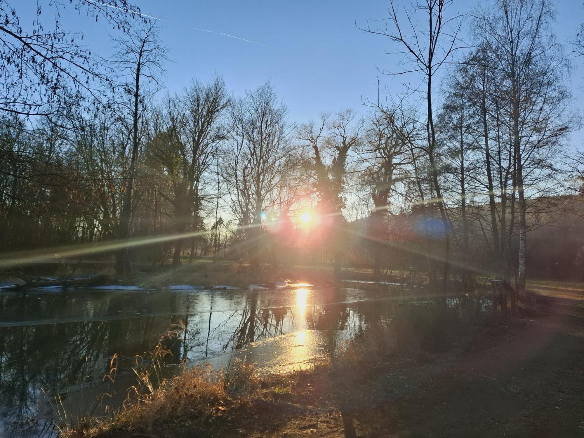Burgblick Apartment- 60Qm, Kueche, Waschmaschine, Streamingdienste Seebenstein Eksteriør bilde